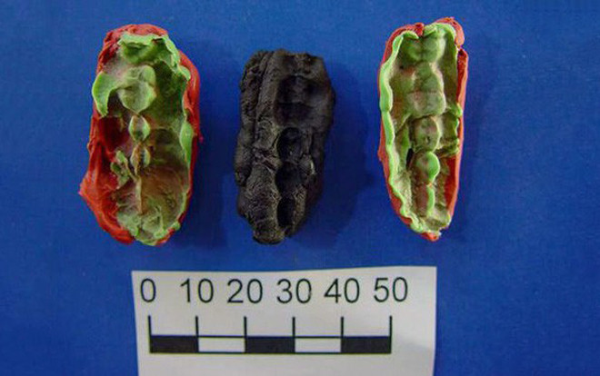 Miếng kẹo cao su 9.500 năm tuổi này có gì thú vị khiến các nhà khoa học nhảy vào nghiên cứu? Ảnh 2