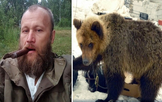 Gấu thoát khỏi chuồng, giết hại và ăn thịt chủ Ảnh 2