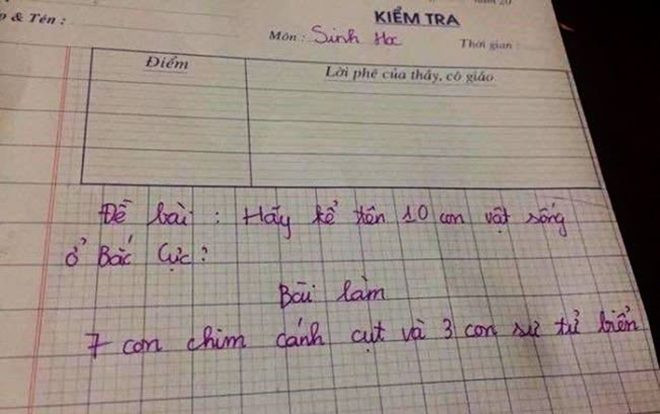 Khi cô giáo yêu cầu bạn kể 10 con vật sống ở Bắc cực - Kiến thức có hạn nhưng người IQ cao sẽ ứng phó thế này đây Ảnh 2