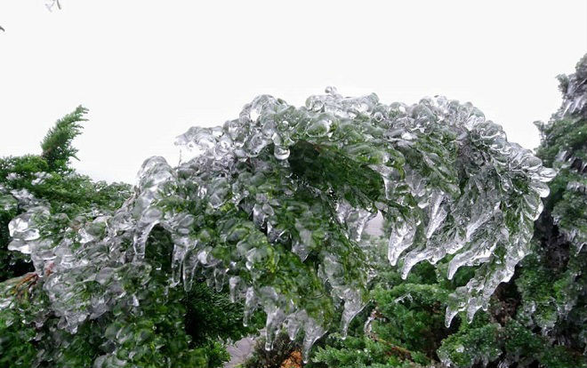 Đỉnh núi Mẫu Sơn -0,5 độ C, băng giá xuất hiện Ảnh 2