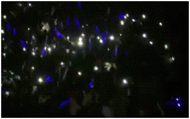 Học sinh 'quẩy' Haru Haru cực sung, biến chương trình cuối năm của trường thành concert BigBang phiên bản nhỏ Ảnh 2