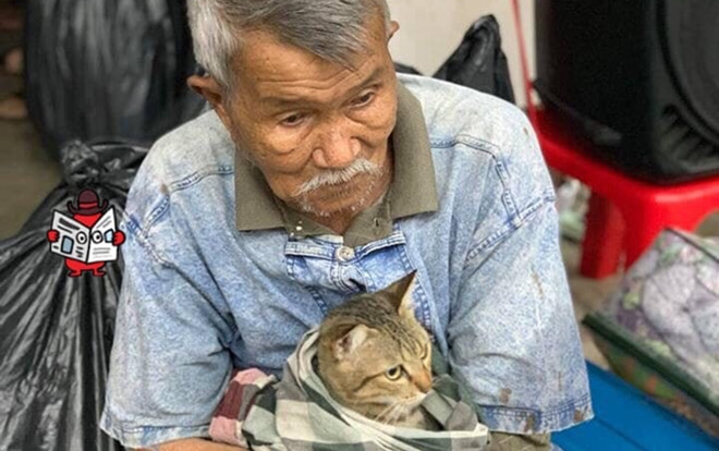 Cảm động khoảnh khắc cụ già che chở, bảo vệ chú mèo trước cơn bão mạnh khủng khiếp Ảnh 2