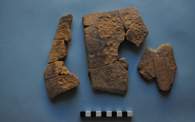 Phát hiện mảnh vỡ hộp sọ voi trong pháo đài Ai Cập 2.300 tuổi Ảnh 2