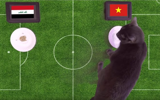 Mèo đoán trúng Thái Lan thua, chọn Việt Nam hạ Iraq Ảnh 2