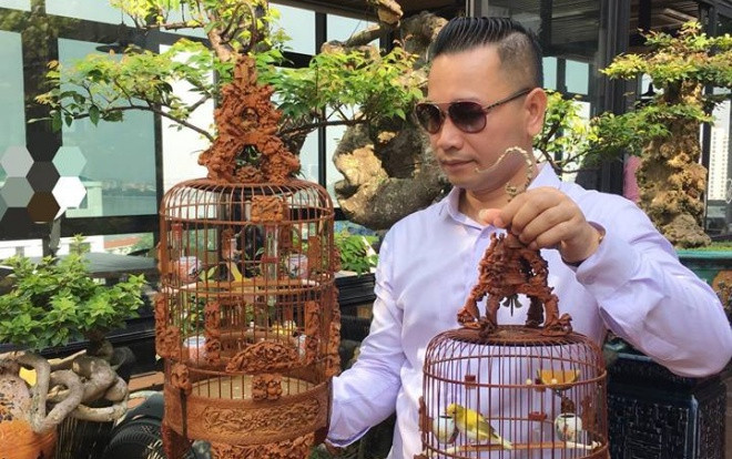 Chuyện chưa kể về ông vua chim màu và những cuộc ngã giá tiền tỷ săn chim quý độc nhất vô nhị ở Việt Nam Ảnh 2