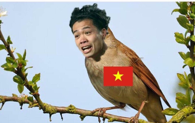 Loạt ảnh chế 'hoạ mi' Công Phượng liên tục hót trong trận gặp Iraq Ảnh 2