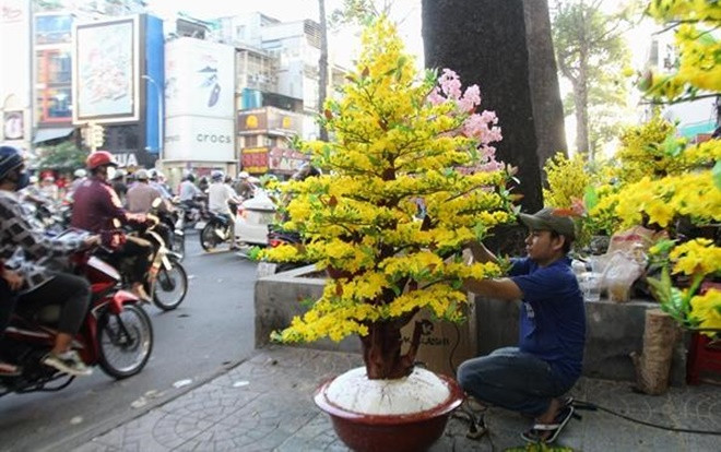 Mai, đào giả 'đắt cắt cổ' 70-80 triệu đồng/chậu xuống đường phục vụ tết Ảnh 2