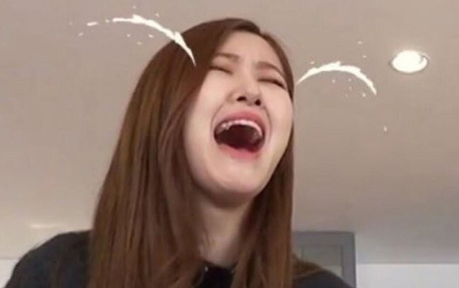 Rose (BlackPink) xin lỗi fan Hàn chỉ vì… nói chuyện bằng Tiếng Anh: Knet và fan quốc tế 'đại chiến' Ảnh 2