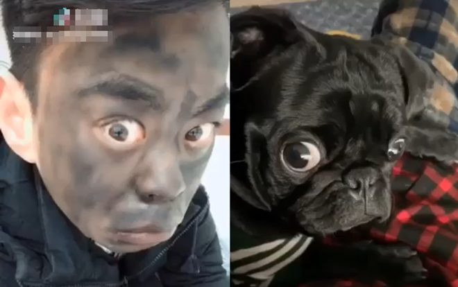 'Cười rụng rốn' màn cosplay đỉnh của đỉnh vì không thể phân biệt đâu là chủ và đâu là cún Ảnh 2