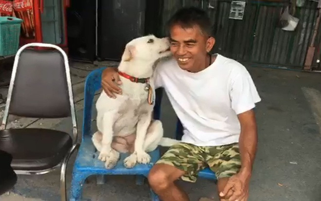 Chó đi lạc trở về, chủ mở tiệc buffet linh đình ăn mừng Ảnh 2