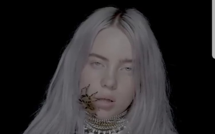 Billie Eilish - Hiện tượng nổi lên ở Việt Nam và làn sóng Depressed Teen, Edgy Teen Ảnh 2