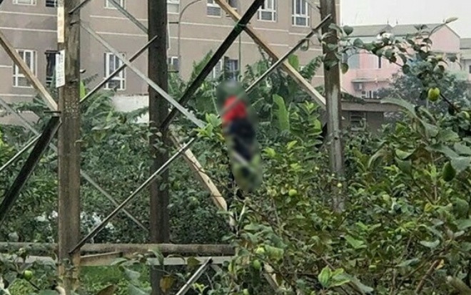 Thi thể nam thanh niên tử vong trong tình trạng treo cổ, hai tay bị trói: Phát hiện bức thư viết bằng tiếng Anh Ảnh 2