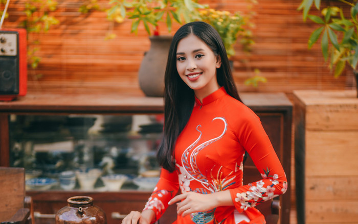 Hoa hậu Tiểu Vy diện áo dài đẹp mê hoặc mọi ánh nhìn, chúc Tết độc giả SAOstar Ảnh 2