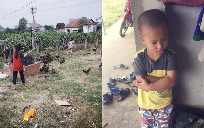 Bé trai mở chuồng gà gần 100 con để cả nhà 'đỡ stress': Một lần chơi lớn xem cả nhà có thở gấp vì đuổi gà' Ảnh 2