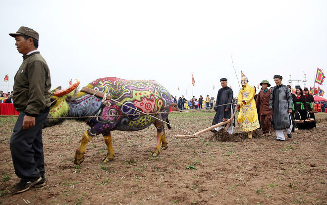 Phó Thủ tướng thường trực Trương Hòa Bình xuống đồng đi cày tại lễ hội Tịch điền Ảnh 2