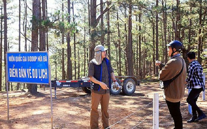 Du khách phản ứng việc bán vé thu tiền tham quan 'Cây thông cô đơn' Ảnh 2