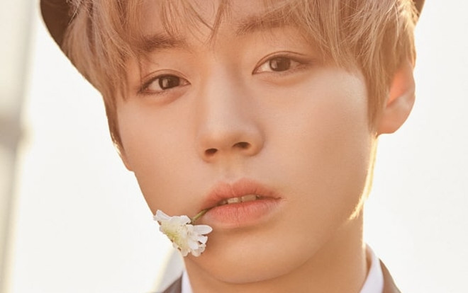 Park Ji Hoon nói về khả năng tái hợp Wanna One: 'Tôi vẫn sẽ sẵn sàng thử thách thêm lần nữa' Ảnh 2