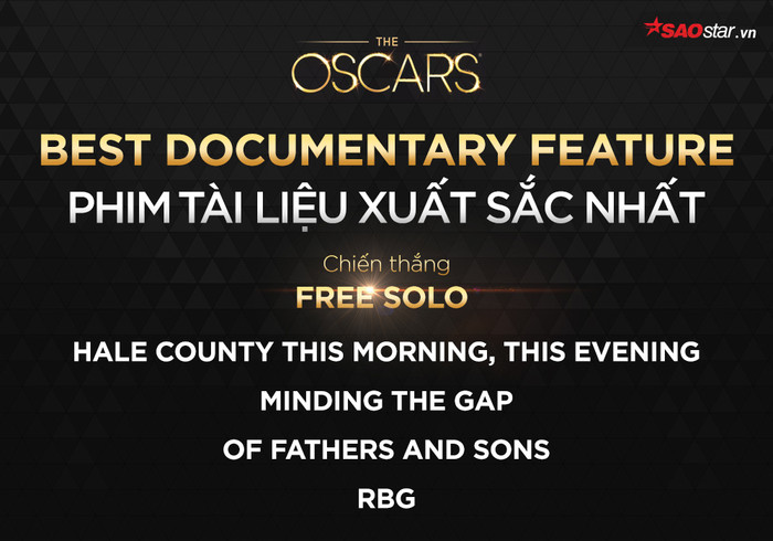 Oscar 2019: Không phải Roma hay Black Panther - A Star Is Born, Green Book mới là Phim hay nhất