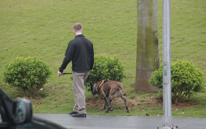 Đội cảnh khuyển: 'Người hùng 4 chân' không thể vắng bóng trong mỗi chuyến công du của Tổng thống Mỹ Ảnh 2
