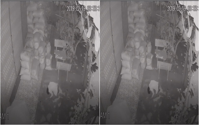 Cuỗm đồ thành công, nam thanh niên quay lại quỳ lạy gia chủ Ảnh 2