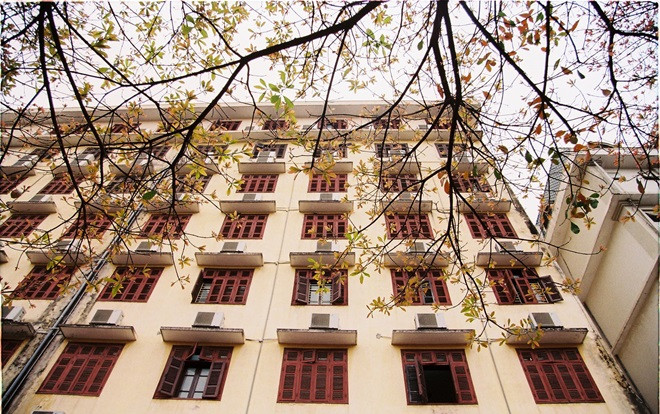 Cận cảnh con đường 'sống ảo' đẹp nhất ĐH Sư phạm được mệnh danh là Hàn Quốc thu nhỏ giữa lòng Hà Nội Ảnh 2