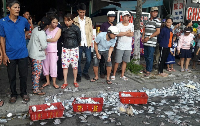 Đà Nẵng: Xe tải tông 3 người đi đường, hơn 2 tấn cá tràn xuống lòng đường Ảnh 2