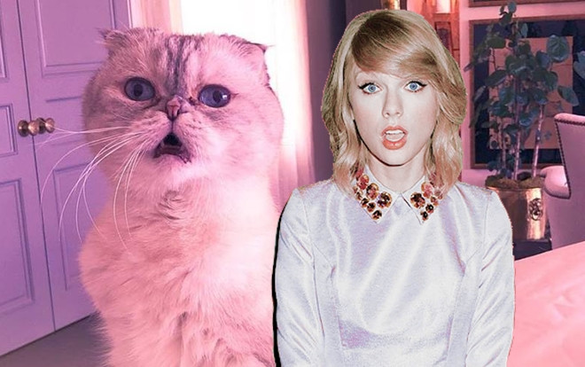 Fan đồng loạt 'sôi sục' vì 'album thứ 7 của Taylor Swift' - 'boss' Olivia của cô nàng 'lạnh lùng' đáp trả… Ảnh 2