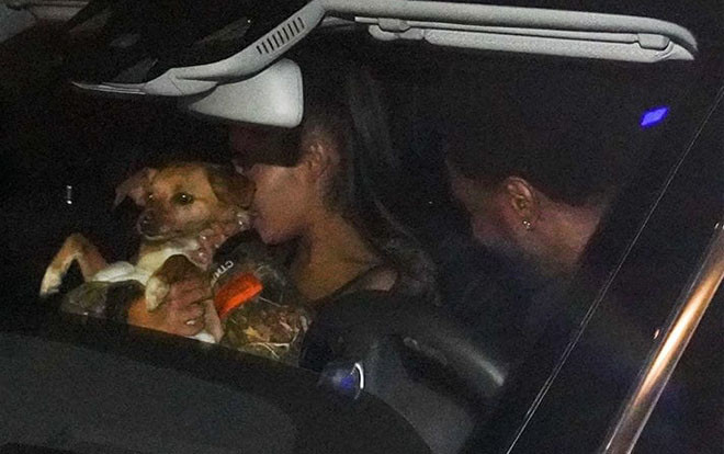 Tình cũ trong 'Thank U, Next' xuất hiện cùng Ariana Grande: Liệu hit này có cần đổi lyrics? Ảnh 2