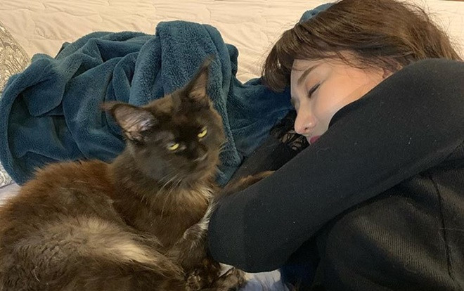 Chia sẻ bức ảnh Hari Won đang nằm với chú mèo cưng, Trấn Thành nói rằng ‘nịnh lắm luôn á’ Ảnh 2