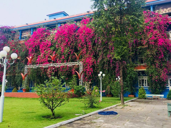 Cận cảnh khuôn viên trường ĐH ở Bình Dương đẹp như khung cảnh trời Âu khiến Cận cảnh khuôn viên trường ĐH ở Bình Dương đẹp như khung cảnh trời Âu khiến