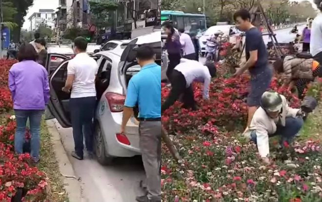 Nhiều người Hà Nội ngang nhiên dừng ô tô giữa đường lấy hoa trang trí sau hội nghị thượng đỉnh Mỹ - Triều Ảnh 2