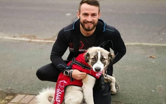 Chú chó vượt gần 5.000km, qua 2 vùng chiến sự để đoàn tụ với chủ Ảnh 2