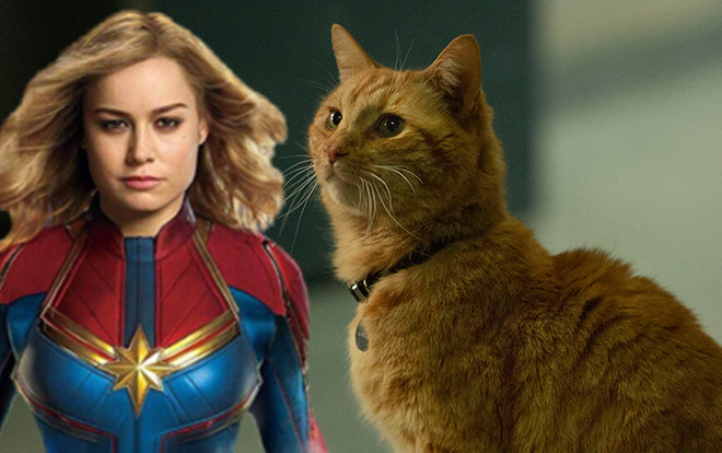 Hoàng thượng Ngỗng trong Captain Marvel gây nên cơn sốt meme tại Hàn Quốc Ảnh 2