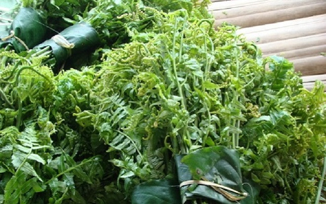 Rau dớn, bò khai, tầm bóp giá 'đắt cắt cổ' đang 'cháy hàng' ở Thủ đô Ảnh 2