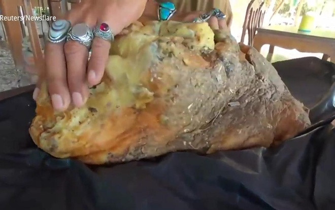 Vật thể bí ẩn trên bãi biển, nghi 'cục nôn' của cá voi trị giá 11,6 tỷ đồng Ảnh 2