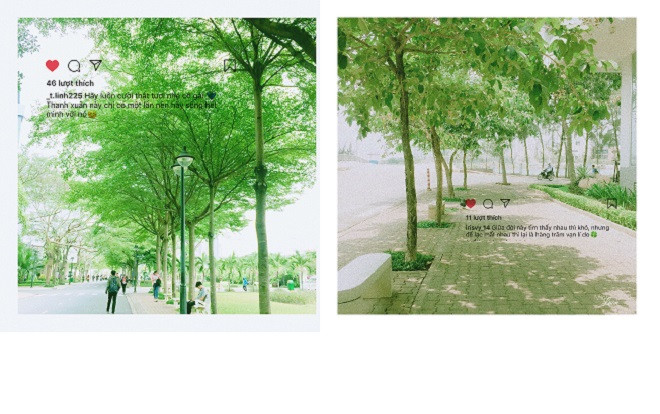 Ngắm những góc nhỏ thanh xuân đầy lãng mạn qua bộ ảnh xinh xắn của sinh viên ĐH Tôn Đức Thắng Ảnh 2