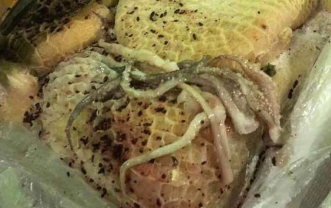 Phụ huynh đau lòng chứng kiến cảnh chi hàng trăm triệu học phí/ năm nhưng con phải thịt thối ở trường Ảnh 2