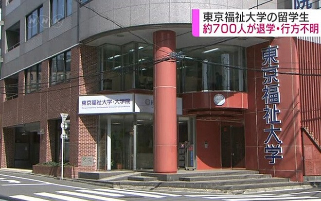 700 du học sinh 'mất tích' tại Nhật Bản, trong đó có nhiều sinh viên người Việt Ảnh 2