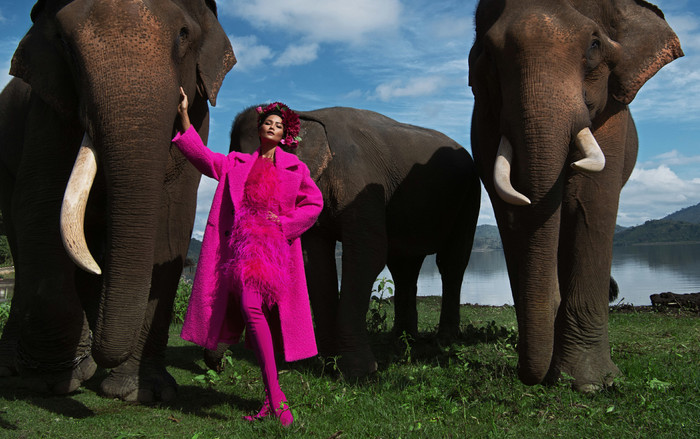 H'Hen Niê như đóa hoa rực rỡ, chụp ảnh cùng voi giữa đại ngàn Ảnh 2