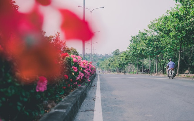 Có một mùa yêu nở rộ khắp nẻo đường tình ven Làng Đại học khiến bao cặp đôi sinh viên thổn thức Ảnh 2