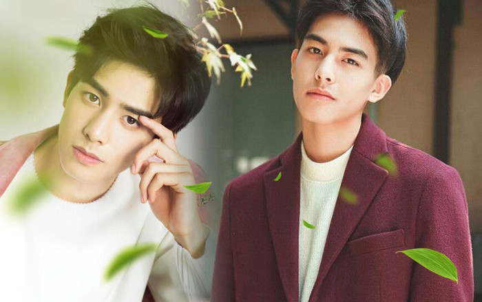 Tống Uy Long: Chàng soái ca trẻ tuổi vạn người mê Ảnh 2