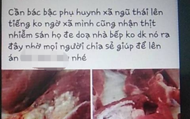 Công an triệu tập kẻ tung tin sai sự thật về thịt lợn nhiễm sán ở trường mầm non Ảnh 2