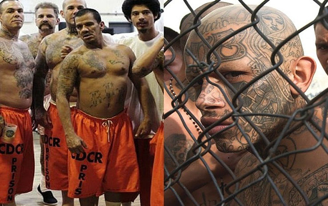 10 sự thật gây sốc về băng đảng Mafia Mexico - những kẻ khát máu nhất hành tinh Ảnh 2