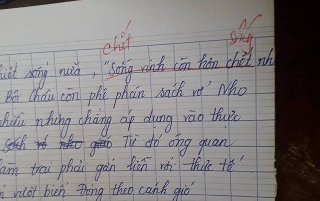 Chết cười với học sinh não cá muốn vận thành ngữ vào viết Văn nhưng không thuộc lại còn sáng tạo ra triết lý mới Ảnh 2
