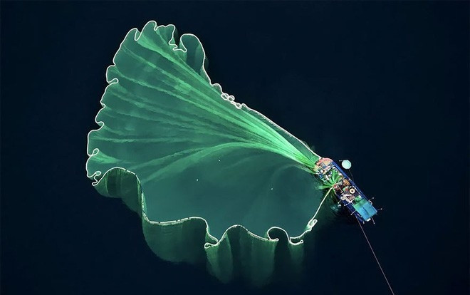 3 bức ảnh chụp ở Việt Nam được vinh danh là ảnh vui tươi nhất và ảnh thể thao đẹp nhất thế giới Ảnh 2