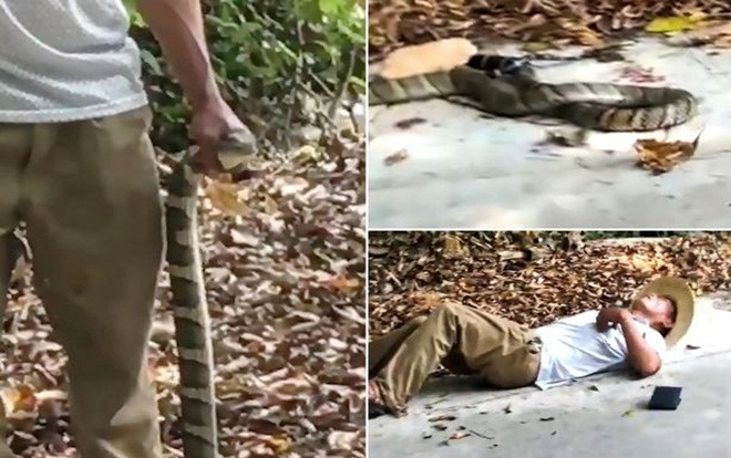 Tưởng rắn đã chết, người đàn ông cầm con vật tạo dáng chụp ảnh thì gặp cái kết thảm thương Ảnh 2