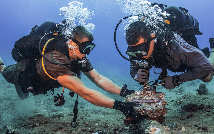 Bảo trì cáp Liên Á từ hôm nay, internet Việt Nam đi quốc tế bị ảnh hưởng hai tuần Ảnh 2