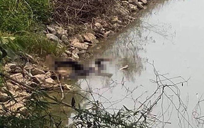 Bỏ tiệc cưới giữa chừng, thiếu nữ ra hồ tự vẫn Ảnh 2