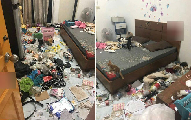 Cô gái nuôi 3 chú mèo rồi bỏ đói, 'bùng' tiền nhà và để lại bãi rác lớn khiến chủ nhà 'vừa dọn dẹp vừa luôn miệng chửi' Ảnh 2
