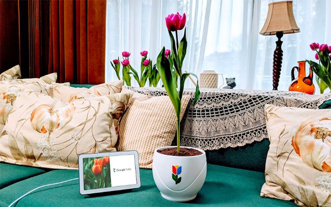 Những trò đùa Cá tháng Tư khiến nhiều người không nhịn được cười của Google Ảnh 2